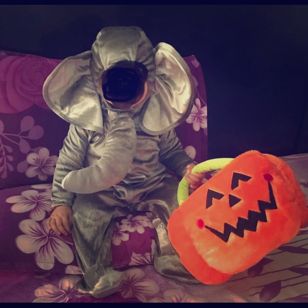 Halloween costume elephant